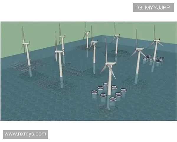 北京排球队运营模式深度解析与发展前景展望